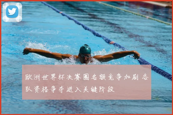 欧洲世界杯决赛圈名额竞争加剧 各队资格争夺进入关键阶段