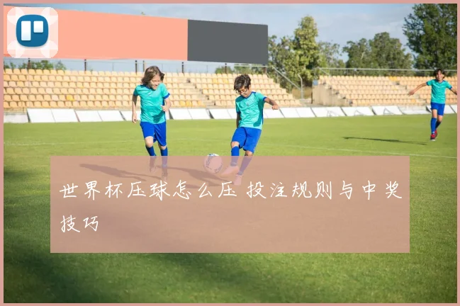 世界杯压球怎么压 投注规则与中奖技巧