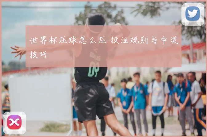 世界杯压球怎么压 投注规则与中奖技巧